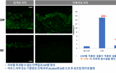 ĭ��, 2026 JPM �ｺ�ɾ� ���۷��� ������ ���� �ְ� ���� CDP ���ޱ���� ���Žž� ������