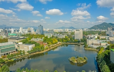 ���� ���� �߽ɵ� �Ǳ���, �� ������ ��� ����ȭ ����